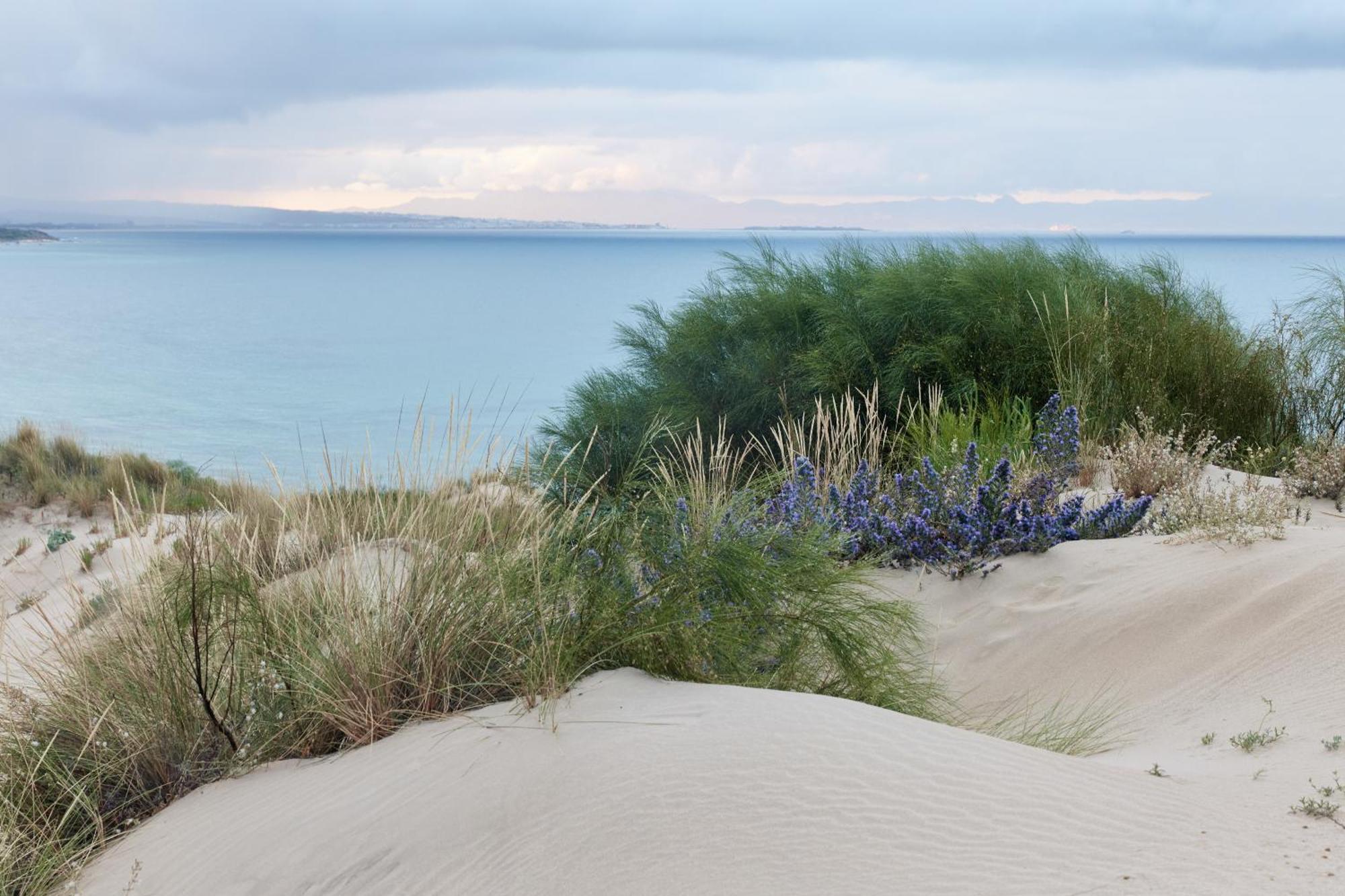Taiga Tarifa Punta Paloma Hotel Eksteriør billede